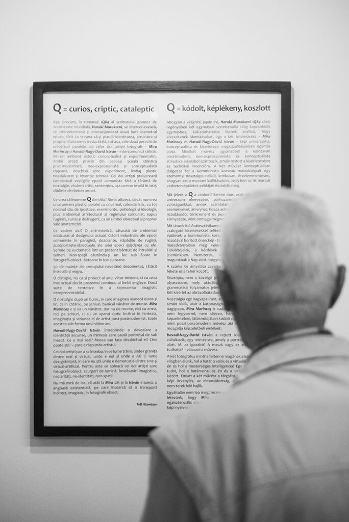 În imagine este textul curatorial de la vernisajul expoziției Q (curios, criptic, cataleptic) organizat de către Galeria Vault One & Korunk din Cluj-Napoca, în partneriat cu revista de fotografie Nophto cu lucrări ale artiștilor Mira Marincaș și Havadi-Nagy-David István, curator Teff Hășmășan.