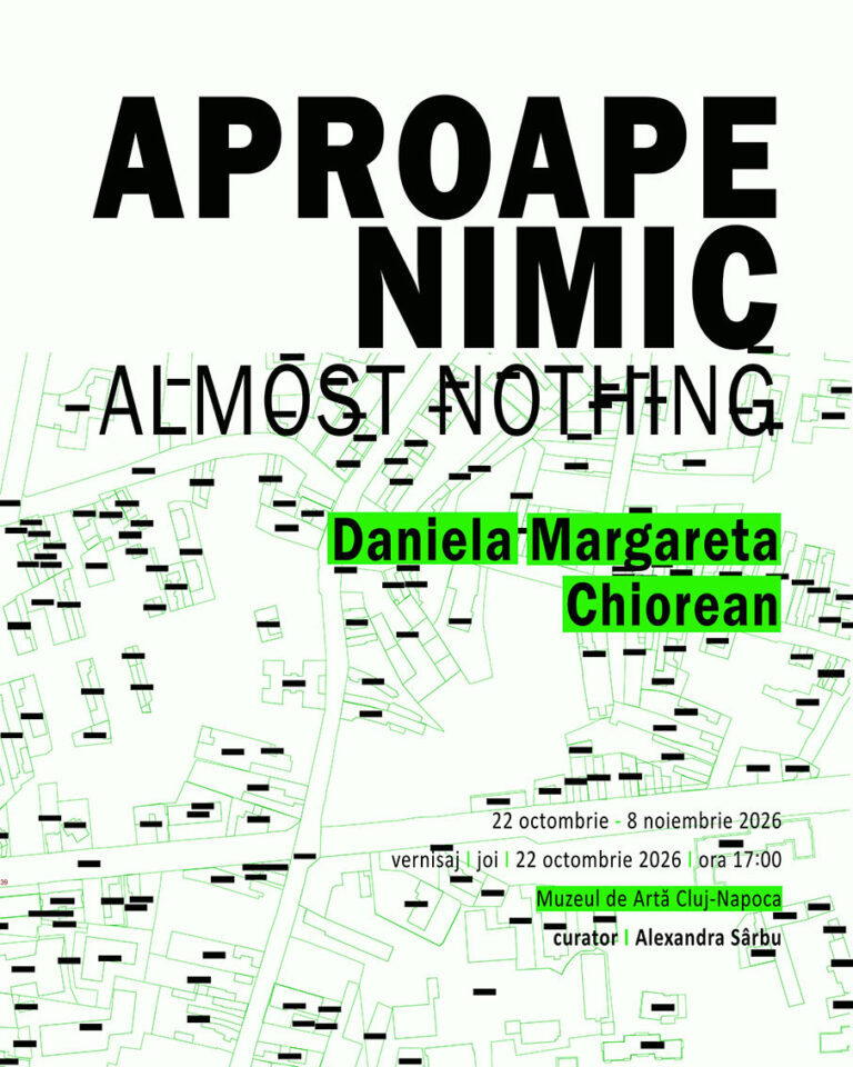 APROAPE NIMIC / ALMOST NOTHING      Daniela Margareta Chiorean